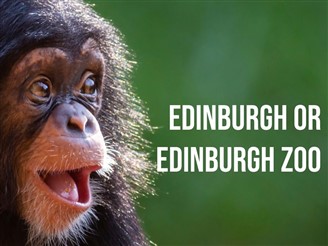 Edinburgh or Zoo Day Excursion