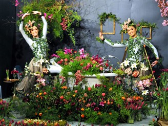 Display at Harrogate Flower Show