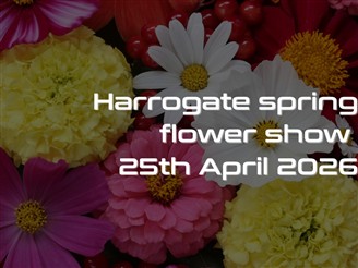 Display at Harrogate Flower Show