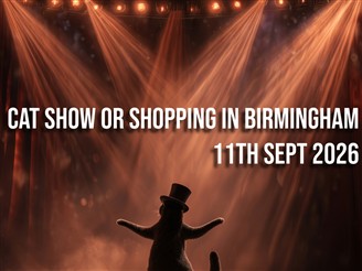 Paws & Purchase in Birmingham Centre