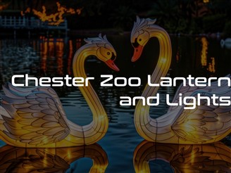 Chester Zoo Lantern & Lights 
