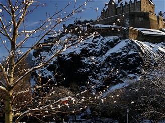 Festive Experiences