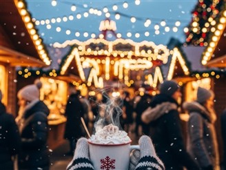 Christmas Excursions