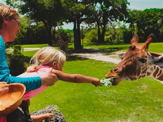Family Day Trips
